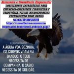 Assessoria Empresarial Online Watsapp 43 984210795 Abcd Técnicas Contábeis 