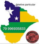 detetive e investigador profissional