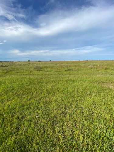 Barbada Fazenda 3.150 hectares localizada no Rs em local q não sofre inundações 709354