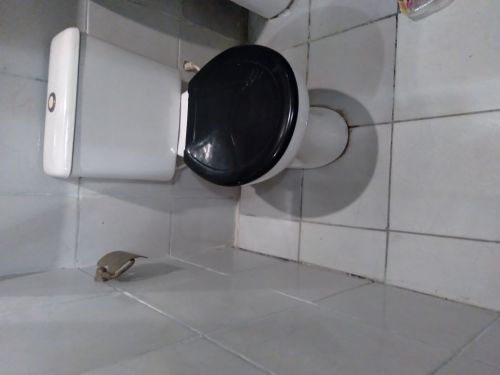 Alugo casa com quarto cozinha banheiro e área de serviço  730491