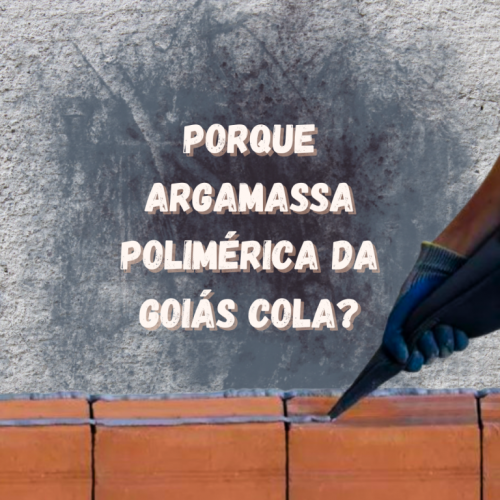 Argamassa Polimérica Goiás Cola  726264