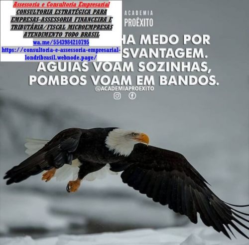 Auditoria Consultoria e Assessoria Para Mei Empresarial Financeira  Contábil  723568