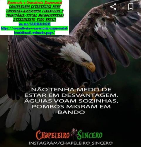 Auditoria Contábil Empresarial Financeira  Contábil Para Empresas e Pessoal  723567