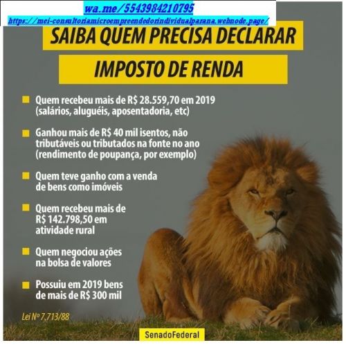 Como preencher declaração do Irpf 2025 Cancelamento Cnpjsmeis  740650