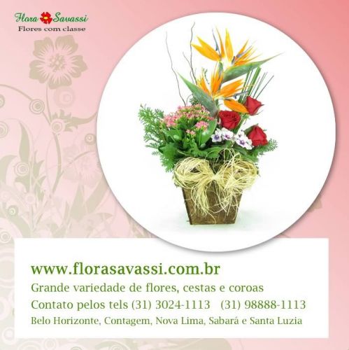  Condomínio Recanto do Vale Condomínio Aldeia da Cachoeira das Pedras Condomínio Ville Casa Branca em Brumadinho floricultura flores cesta de café da manhã e arranjos florais Brumadinho  Mg 717726