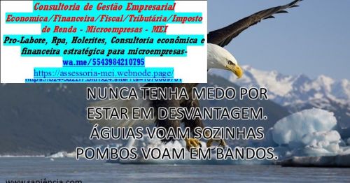 Consultoria para Mei - Consult. Empresarial Santa Catarina- Sc  735426