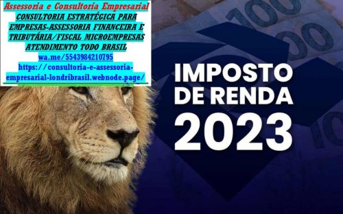 Declaração Anual Mei 2025 começa em 01-01-2025 739239