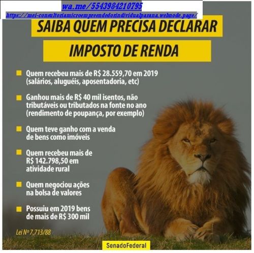 Declaração Anual Mei 2025 - Simples Nacional 732219