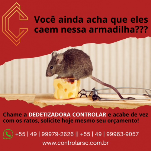 Dedetização 724586