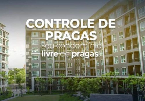 Dedetização e controle de pragas  Desentupidora  604202