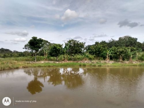 Fazenda em Fortuna de minas 130 hectares 721233