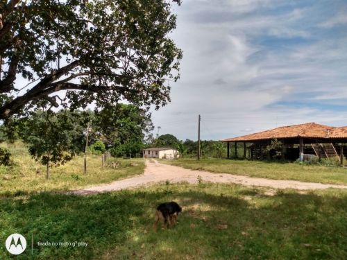 Fazenda em Fortuna de minas 130 hectares 721234