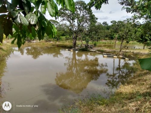 Fazenda em Fortuna de minas 130 hectares 721235