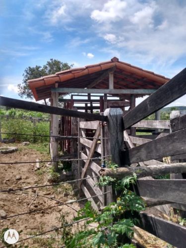 Fazenda em Fortuna de minas 130 hectares 721237