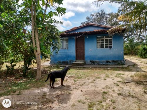 Fazenda em Fortuna de minas 130 hectares 721238