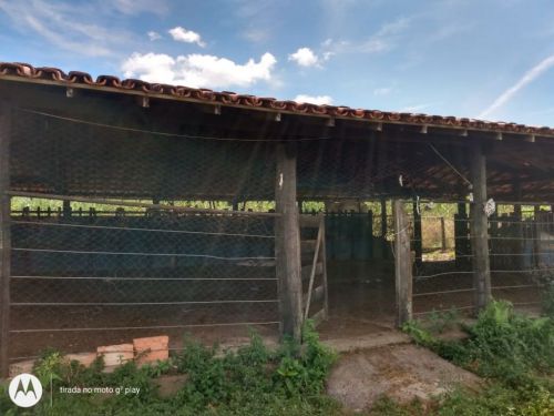 Fazenda em Fortuna de minas 130 hectares 721239