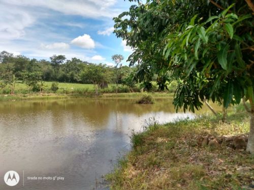 Fazenda em Fortuna de minas 130 hectares 721241