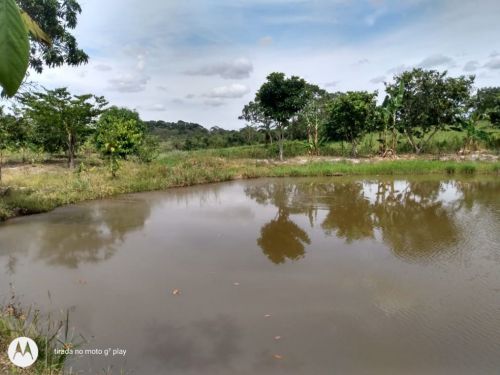 Fazenda em Fortuna de minas 130 hectares 721242