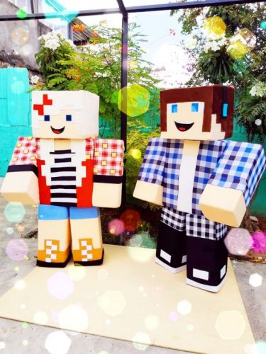 Minecraft cover personagens vivos festas infantil 584702