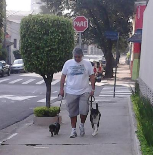 Passeios e Pet sitter Lopes Adestramento 720106