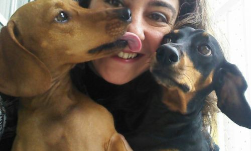 Passeios e Pet sitter Lopes Adestramento 720107