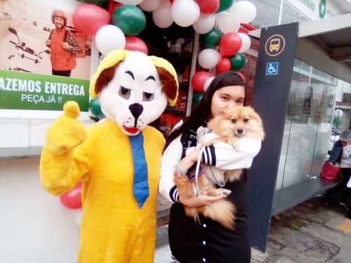 locutor e   mascote  do cachorro  pdv ação de marketing produtos para animais  719372