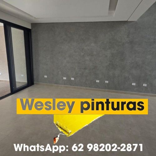 Pintor Profissional Disponível  728988