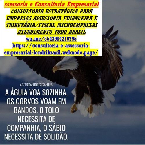 Serviços de Consultoria Mei  733081