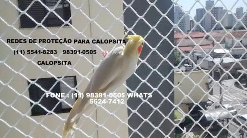 Telas de Proteção na Vila Alexandria Condominio Vlima Mascote 11 98391-0505 zap  565816