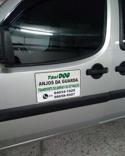 Transporte de Animais de Estimação Anjos da Guarda Pet Taxi e Dog Walker  512046