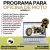 Programa Ordem De Serviço Para Oficina Mecânica Moto V1.1 - Fpqsystem